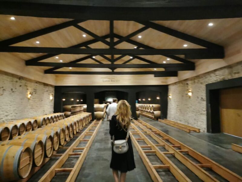 Bordeaux: Medoc Tour in a Small Group (Luxury Mercedes Eqv) - Renowned Médoc Châteaux