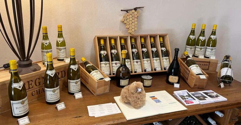 Bordeaux Private Walking & Tasting Tour - Booking Information