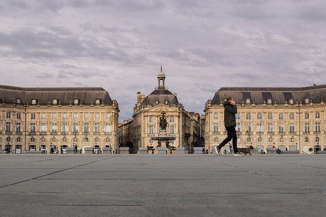 Bordeaux Private Walking Tour With A Professional Guide - Inclusions and Accessibility