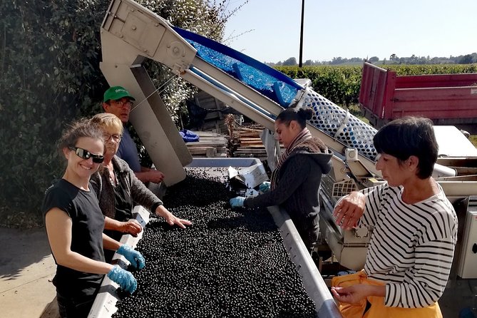 BORDEAUX Region UNCORKED - Private Premium Enological Adventure - Accessibility and Cancellation Policy