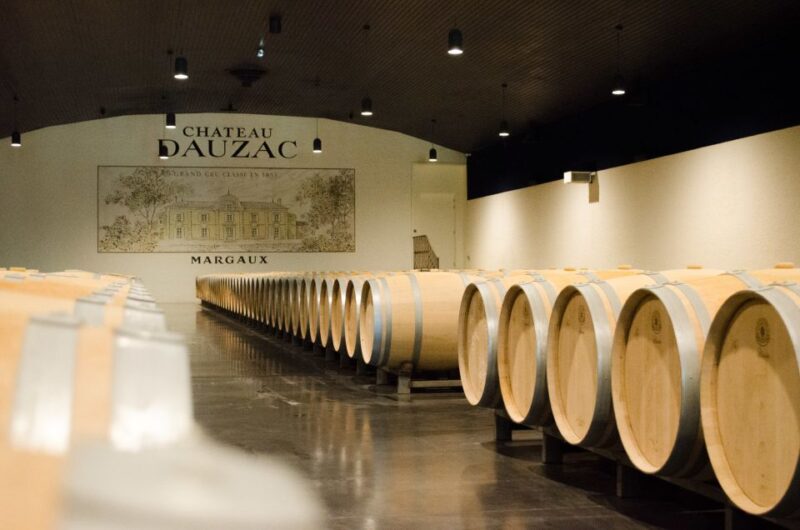 Bordeaux: Saint-Emilion and Medoc Full-Day Wine Experience - Exploring the Regions
