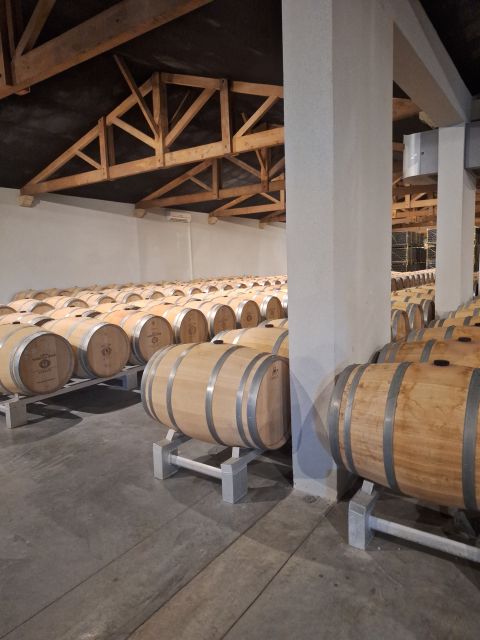 Bordeaux: Saint Emilion Village With Châteaux & Wine Tasting - Visiting the Chateaux