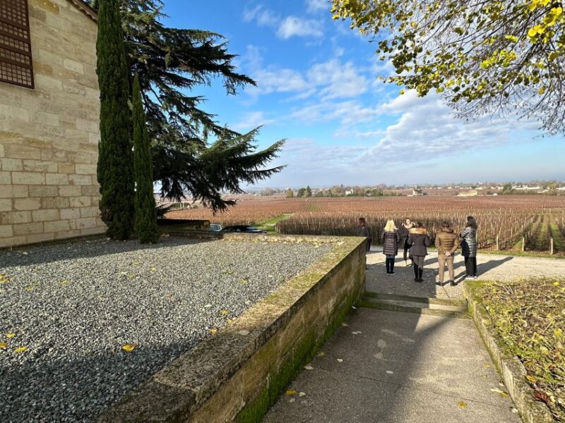 Bordeaux: Saint-Émilion Wine Tour in a Small Group - Winery Visits