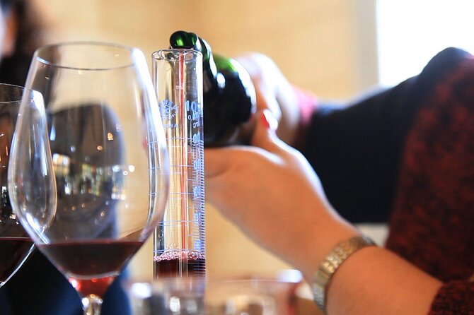 Bordeaux Small-Group Wine Tasting Class Morning With Appetizer Plate - Analyzing Wine Aromas