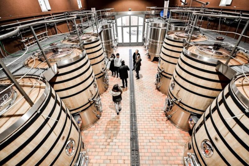 Bordeaux: St-Emilion and Medoc Wine Day Tour With Lunch - Wine Tastings in St-Emilion