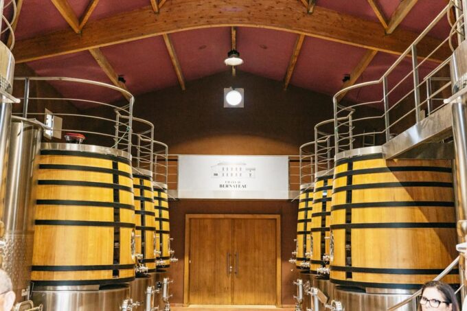 Bordeaux: St. Emilion Day Trip With Wine Tasting and Lunch - Explore Bordeauxs Wine Country