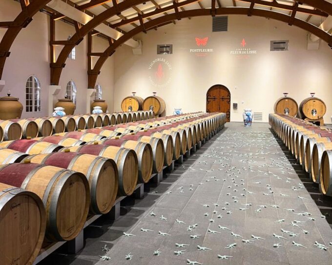 Bordeaux: St-Emilion Vineyards E-Bike Tour With Wine & Lunch - Exploring the Vineyards