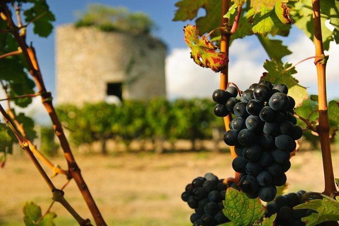 Bordeaux Super Saver Historic Gourmet Walking Tour With Lunch and Médoc Tour - Gourmet Food Walking Tour