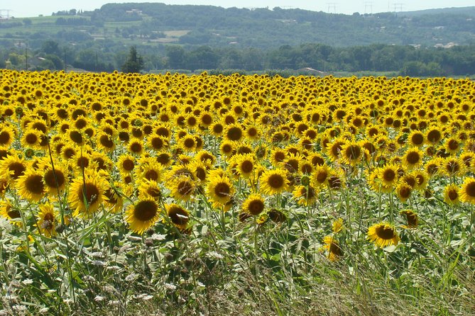 Bordeaux to Dordogne - Private Tour: Fortified Castles and Medieval Villages - Picturesque Medieval Villages