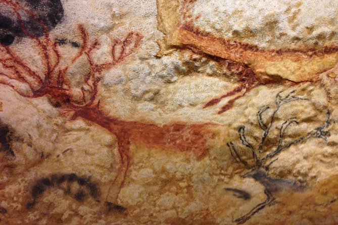 Bordeaux to Lascaux and Dordogne Valley Private Sightseeing Tour - Transportation and Guide Details