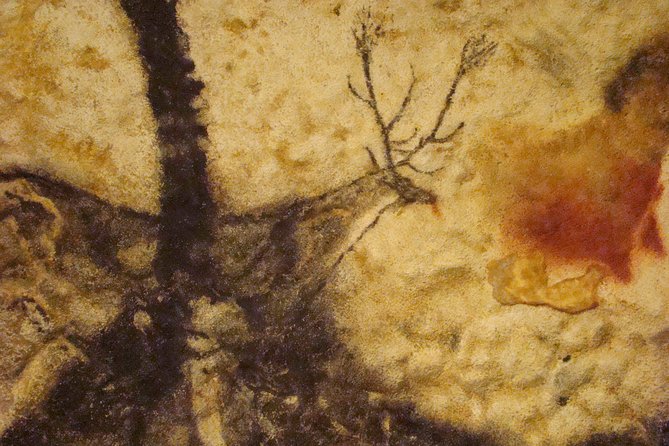 Bordeaux to Lascaux and Dordogne Valley Private Sightseeing Tour - Tour Reviews and Ratings