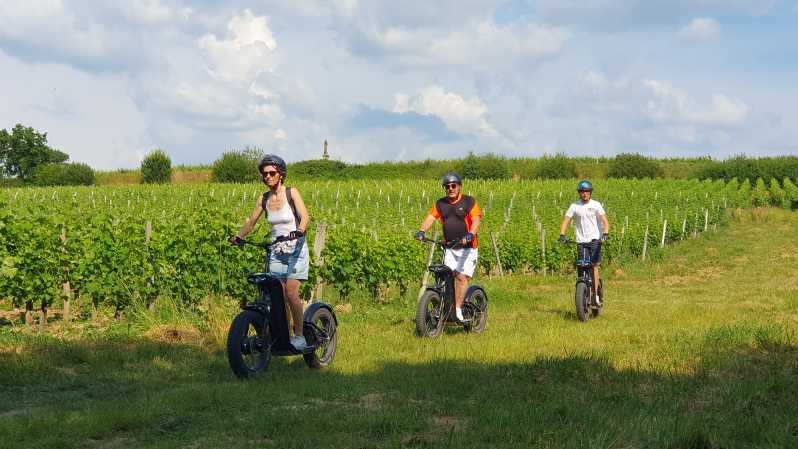 Bordeaux: Trot Circuit + Tasting of La Louvière Castle Wine - Key Points