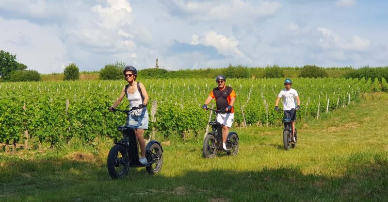 Bordeaux: Trot Circuit + Tasting of La Louvière Castle Wine - Highlights of the Itinerary