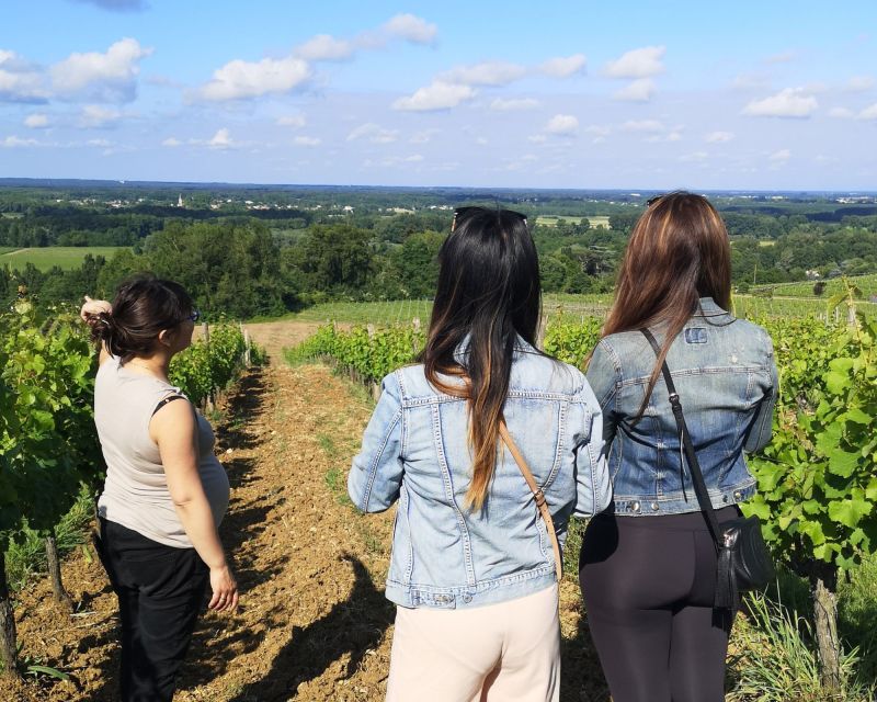 Bordeaux: Vineyard off the Beaten Track With Wine Tasting - Certified Organic Winery Visit