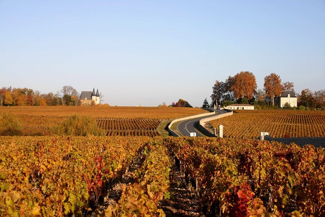 Bordeaux Vineyards Wine Tasting Half-Day Trip - Winery Visits and Tastings