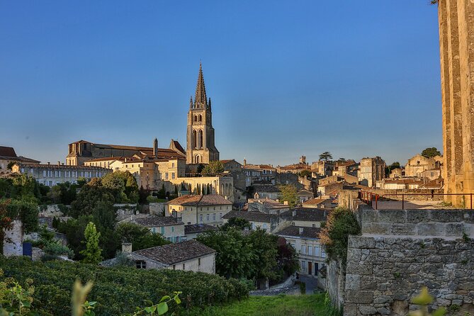 Bordeaux Vineyards Wine Tasting Half-Day Trip - Customer Feedback and Reviews