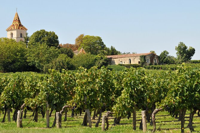 Bordeaux Vineyards Wine Tasting Half-Day Trip - Historical Context of Bordeaux Winemaking