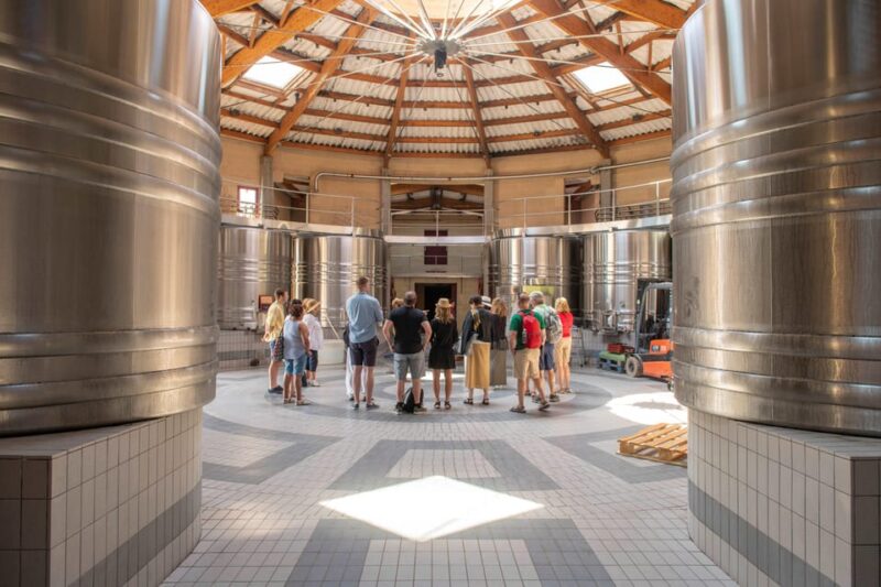 Bordeaux: Vineyards Wine Tasting Half-Day Trip - Transportation and Meeting Point
