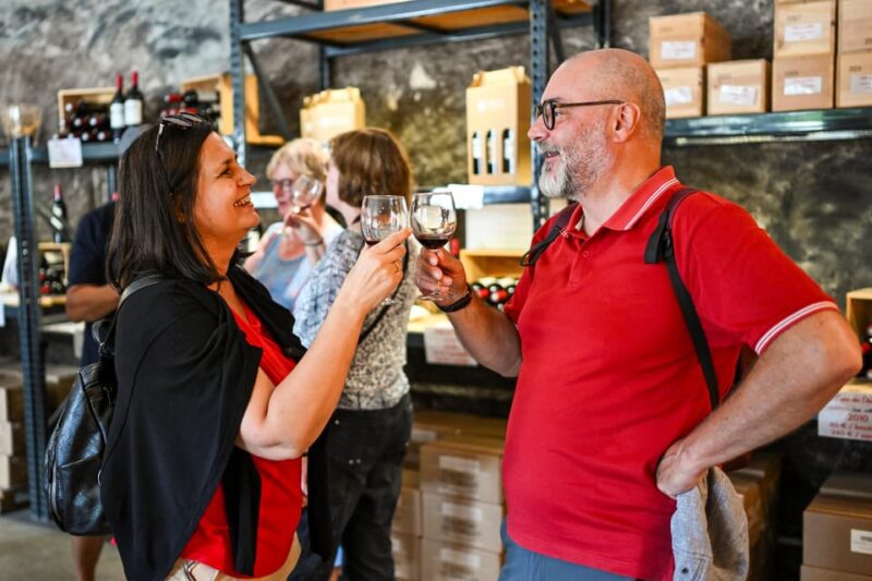 Bordeaux: Vineyards Wine Tasting Half-Day Trip - Guest Reviews and Highlights