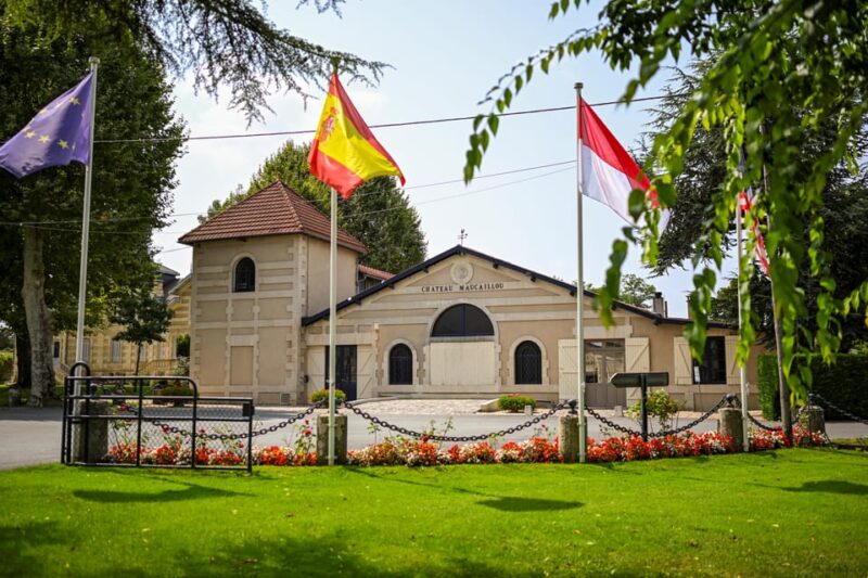 Bordeaux: Vineyards Wine Tasting Half-Day Trip - Important Information and Recommendations
