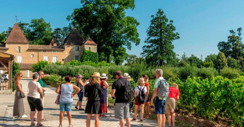 Bordeaux: Vineyards Wine Tasting Half-Day Trip - Itinerary Details