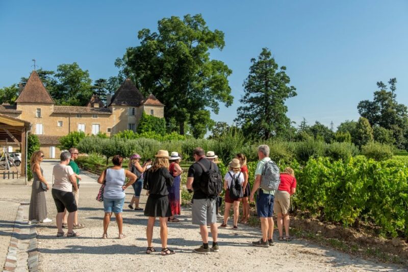 Bordeaux: Vineyards Wine Tasting Half-Day Trip - Included Experiences
