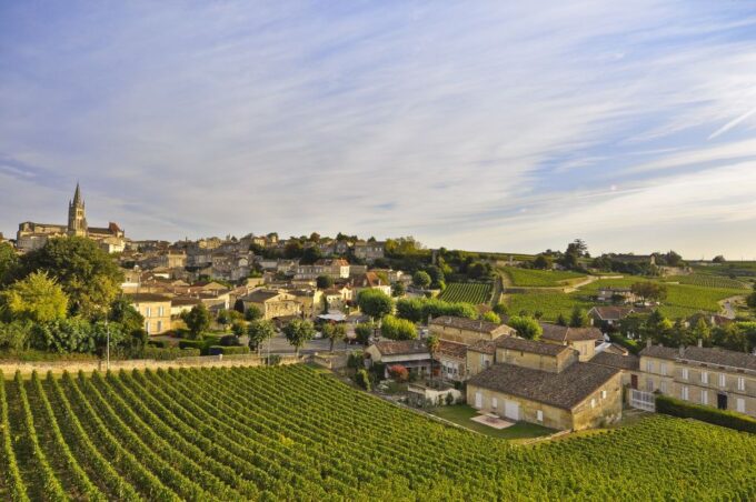 Bordeaux: Vineyards Wine Tasting Half-Day Trip - Winery Visits