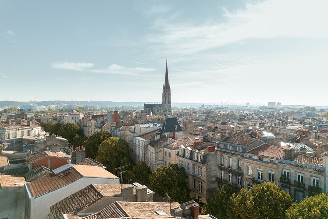 Bordeaux & Wine Cellar Private Guided Tour From San Sebastian - Accessibility and Infant Seats