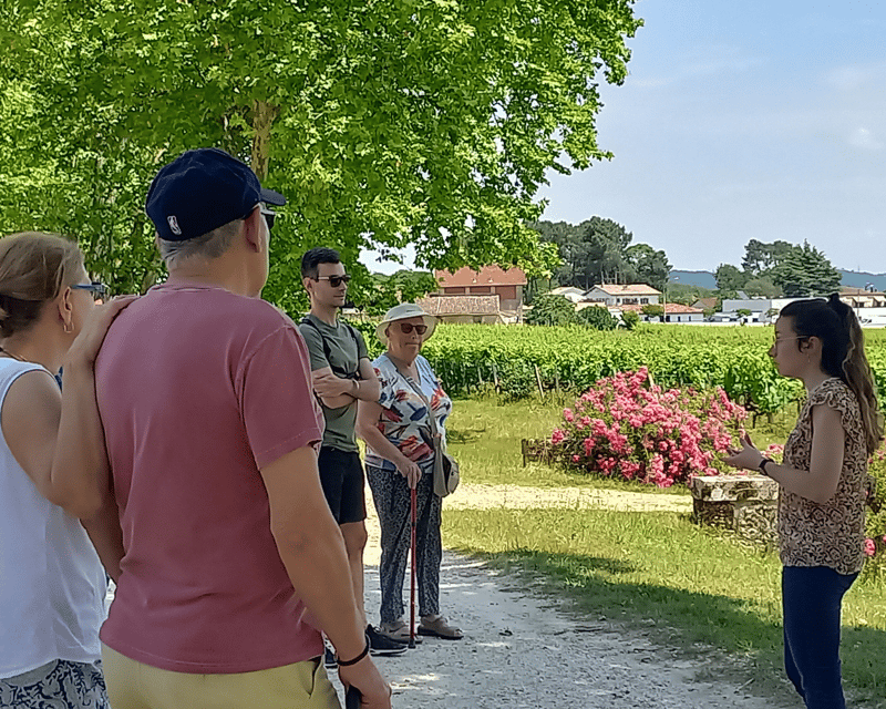 Bordeaux Wine Tour: 2 Wineries & Wine Tastings (Red & White) - Itinerary and Highlights