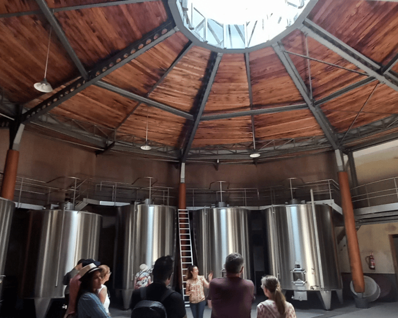 Bordeaux Wine Tour: 2 Wineries & Wine Tastings (Red & White) - Discovering Bordeauxs Wine Regions
