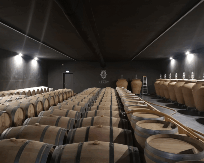 Bordeaux Wine Tour: 2 Wineries & Wine Tastings (Red & White) - Customer Feedback and Ratings