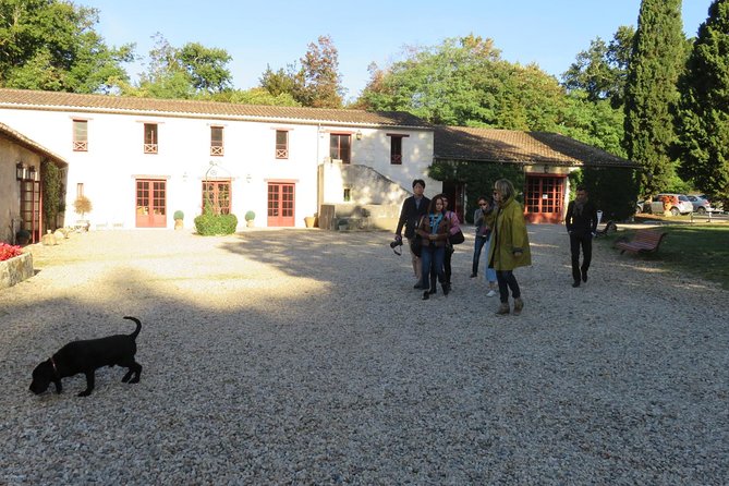Bordeaux: Wine Tour and Tasting - Customer Reviews