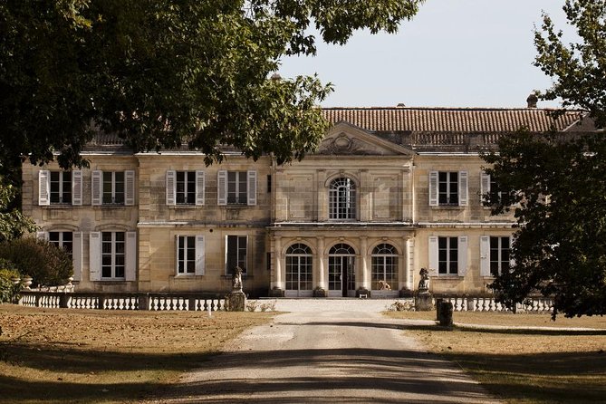Bordeaux: Wine Tour and Tasting - Positive Highlights