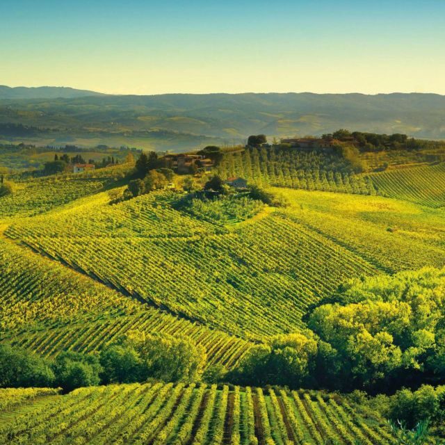 Borgunto Non-Alcoholic Tasting - The Cultural Significance of Tuscany