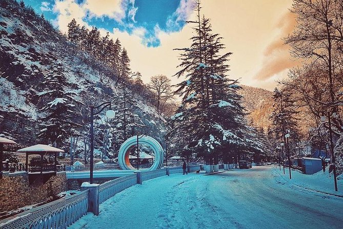 Borjomi-Bakuriani-Private Day Trip From Tbilisi - Quick Points