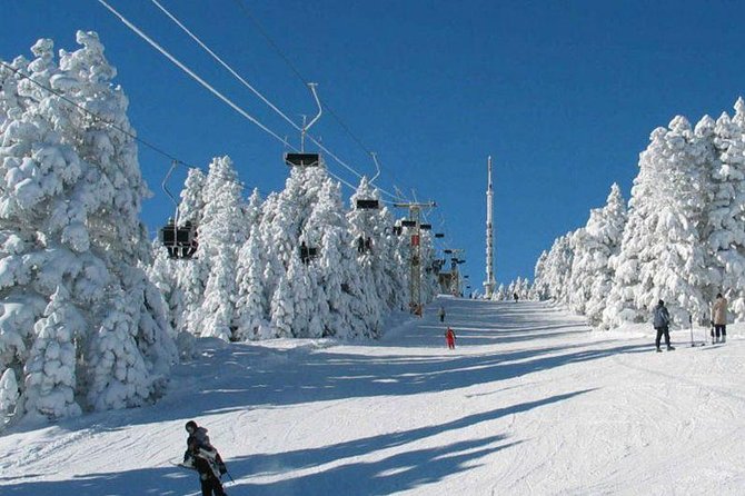 Borjomi-Bakuriani-Private Day Trip From Tbilisi - Included Experiences