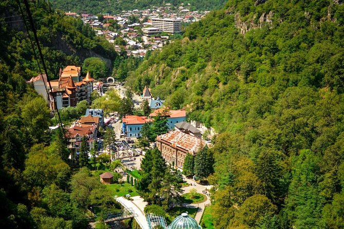Borjomi/Bakuriani Private Full Day Tour From Tbilisi - Pricing and Cancellation