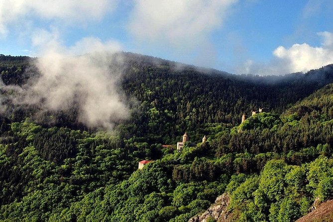 Borjomi, Rabati, Sapara - Private Tour - Customer Support and Reviews