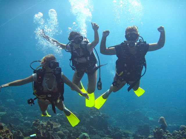 Borneo 3-Dive Scuba Diving Day Trip in Kota Kinabalu - Customer Feedback