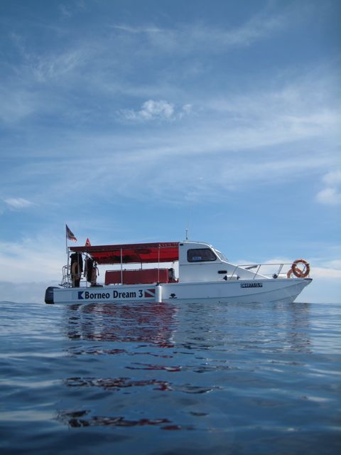 Borneo 3-Dive Scuba Diving Day Trip in Kota Kinabalu - Suitability