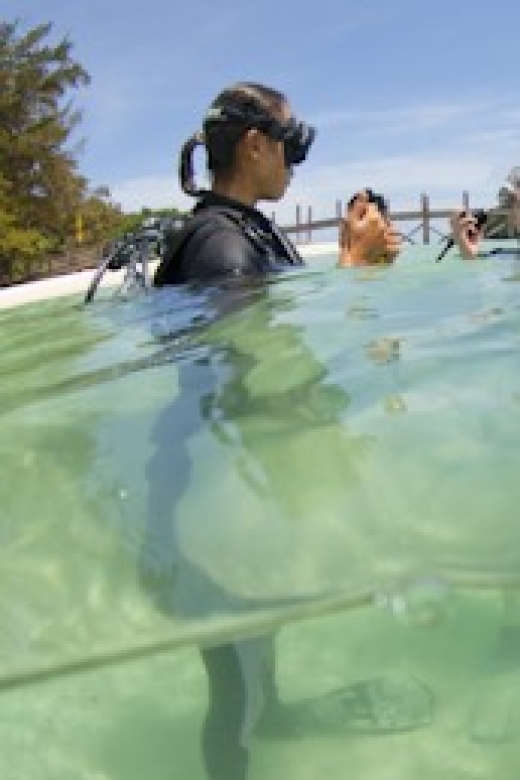 Borneo Full Day Try Dive (2 Dives) for Beginners - Activity Details
