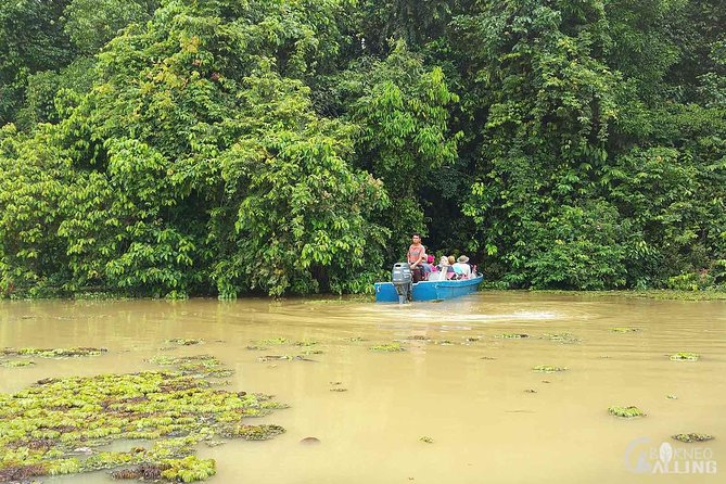 Borneo Kinabatangan River Cruise Day Trip - Health and Accessibility Considerations