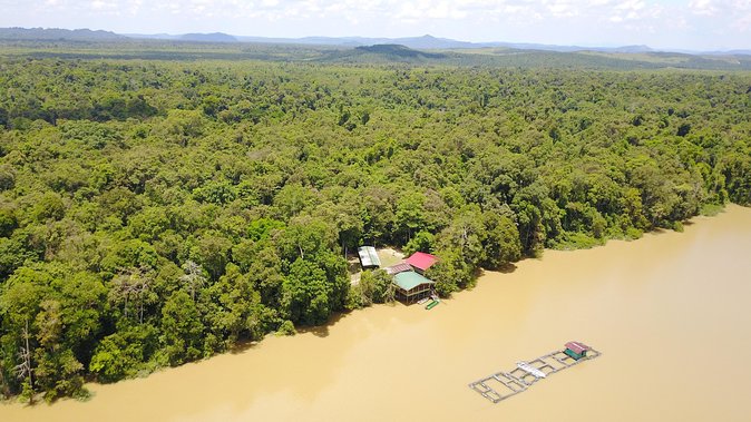 Borneo Wildlife Tour 3 Days 2 Nights At Tanjung Bulat Jungle Camp Kinabatangan - Guided Drives, Walks, and Cruises