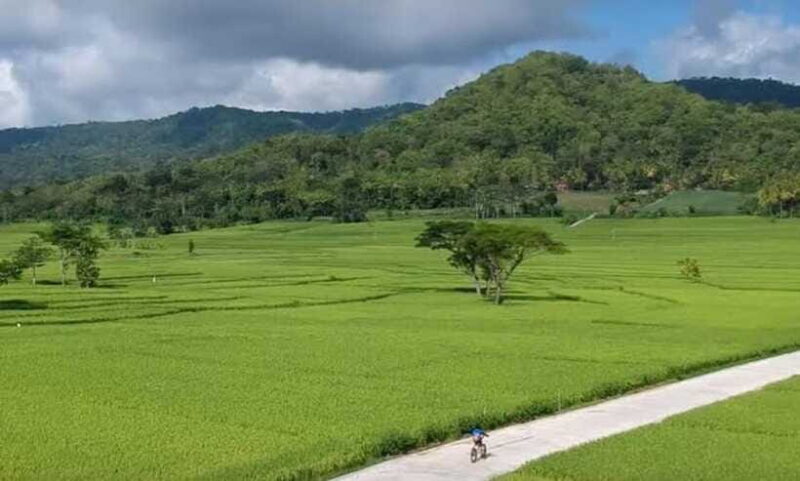 Borobudur & Exploring Mountain - Customer Feedback