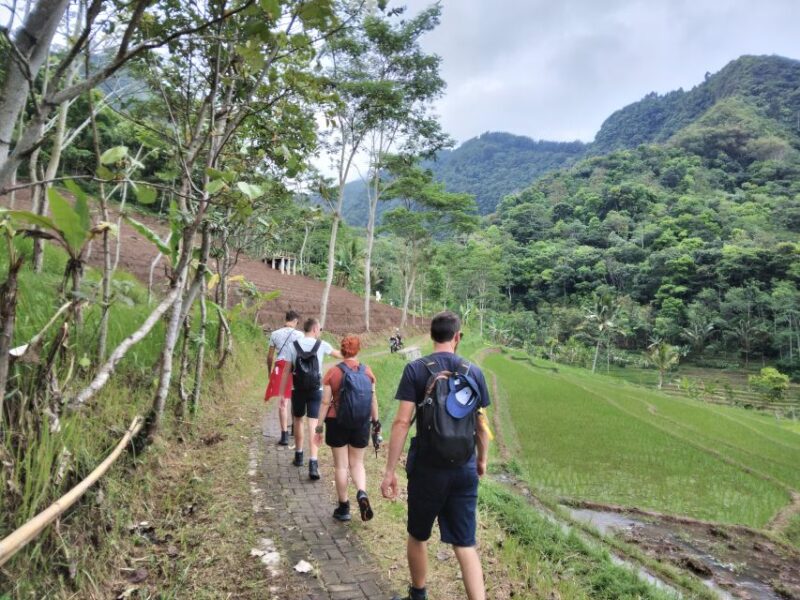 Borobudur Temple & Rice Terrace Walking to Selogriyo Temple - Key Points