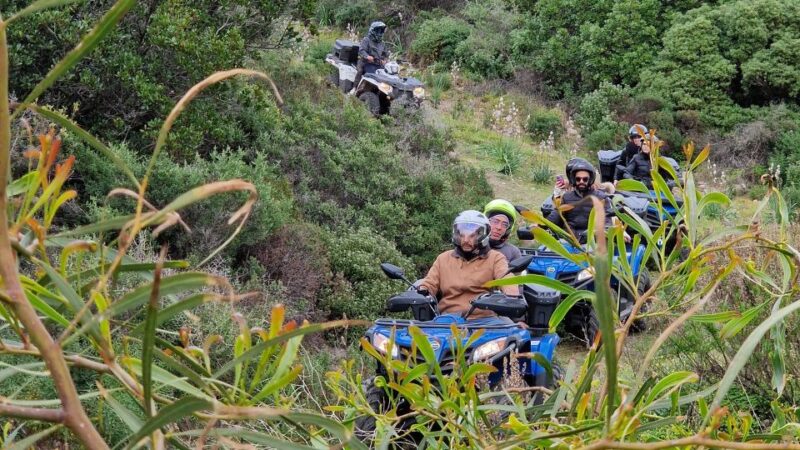 Bosa: Coast and Country Guided Quad Bike Tour - Key Points