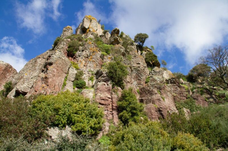 Bosa: Coast and Country Guided Quad Bike Tour - Riding Experience