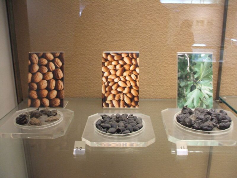 Boscoreale: Antiquarium & Villa Regina Private Tour - Villa Regina