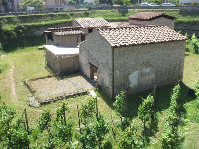 Boscoreale: Antiquarium & Villa Regina Private Tour - Tour Inclusions