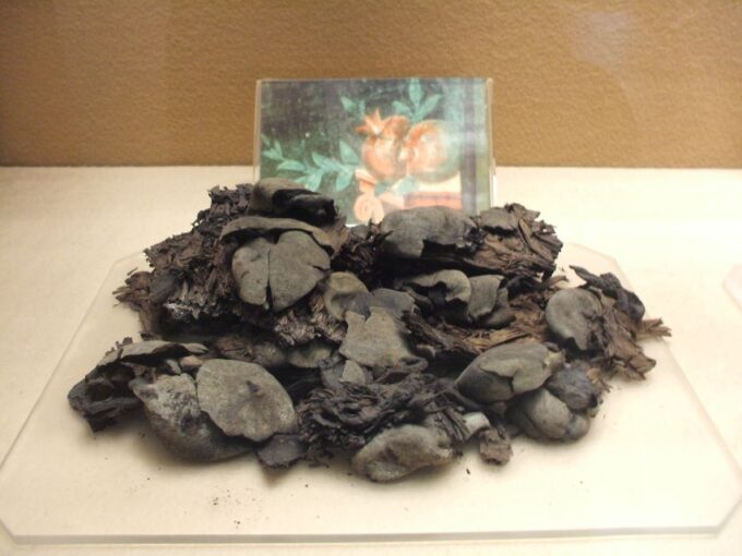 Boscoreale: Antiquarium & Villa Regina Private Tour - Tour Exclusions